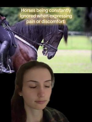 Who else is tired of horses being ignored when they exhibit clear signs of discomfort & pain? 🙋‍♀️ At Schleese we’re certainly sick of seeing this, which is why every saddle we make is designed to meet the needs of an individual horse, & to be fully adjustable to their bodies as they inevitably grow & develop. Every horse deserves to have their voice heard ❤️ #schleese #saddlefit #equinewelfare #saddles #equestrian 