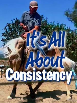 FOLLOW ON FB and IG TODAY!!! It’s All About Consistency  #mankinsperformancehorses  #training and #riding #horses #fyp #startingcolts #horsetok #reining #horsetraining #foryou #cowhorse #showhorse #desensitization #tips #animals #follow #tiktok #horselife #younghorse #equine #horsevideo #reinedcowhorse #fypシ #colts #horsemanship #westernriding #cuttinghorse #rodeo #roping #quarterhorse #slidestop #ranchlife #cowwork #horseriding #collection #traininghorses #horsepower #ride 