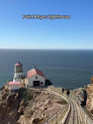 Point Reyes Lighthouse @Marin CVB @AllTrails  We walked down 313 steep steps to get to the beautiful view of the Point Reyes Lighthouse #travelblogger #visitcalifornia #hiddengems #northerncalifornia #lighthouses #marincounty #visitmarin #hikingtrails #pointreyes #pointreyesnationalseashore #nationalseashore #sfbayarea #thingstodo #Hiking #Inverness #PointReyesBeach