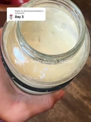 Replying to @Shanksonthedaily one thing about me is I’m going to do things as low maintenance as possible and I have always done my starter this way. This is a fresh starter and I just you know don’t put too much pressure on it. #mominfluencer #momwithacamera #everydaymom #easysourdough #easysourdoughstarter 