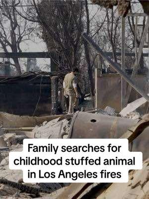 Families across Los Angeles are searching the debris from where their houses once stood looking for childhood stuffed animals, cherished family art, photos and more. For most who lost their homes in the fires, everything is gone. #LosAngelesfires #LAfires 📹: @Sandy Hooper 