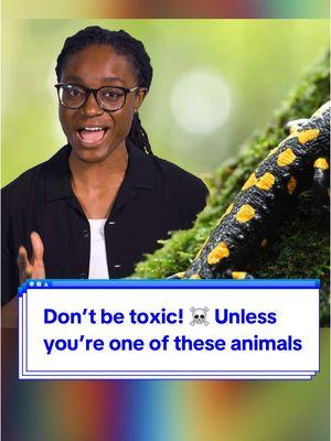 Sometimes it's good to be toxic ⚠️ well, if you're an animal. Learn about the difference between venom and poison, and which animals use toxins to survive with @See You Outside 🐙   And don't forget to follow us on other apps to keep in touch! We're @cbsunstoppable everywhere 💞   #STEM #toxic #animals #hoodedpitohui #slowloris #loris #venom #poison