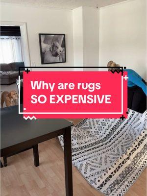 Why are rugs so expensive?! This one is seriously such good quality and way cheaper than any I’ve found of this quality. #rugsoftiktok #homerugs #rugdesign 