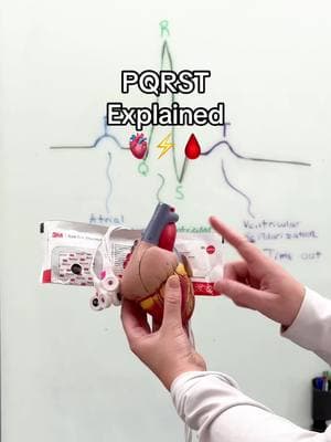 Anatomy of an EKG strip 🫀 #nursingschool #nursingstudent #studentnurse #RN #telemetry #EKGbasics #EKGeducation #cardiacnursing 