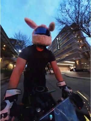 Energetic Swole Bunny roaming around town #foryou #fypシ #motorcyclesoftiktok #motorcycle #motorcycleclub #kawasakininja #foryoupage #bikelife #ninja400 #motorcyclelife #houston #bikerlife #motorcyclemoments #motorcycleride #motorcycledaily #BookTok 