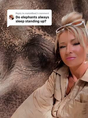 Replying to @maisieBeeL  #elephant #animal #animallover #tiktok #animalsoftiktok #mybestfriendisanelephant #SaveTikTok #multispeciesherd #savethrspecies 