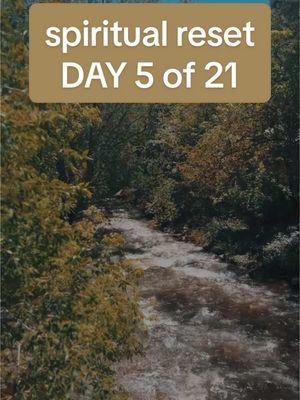 I speak my truth freely, and my voice flows effortlessly like water.🩵🌊 As we flow into Day 5 of our 21-day spiritual reset—let the soothing sound of a flowing river guide you into alignment with your Throat Chakra.  🩵 This reiki-infused moment of peace, will ease tension and invite serenity within seconds. 🩵 Let nature help you reconnect to your voice and your truth, allowing the natural stream of water, a symbol of flow and clarity, to create a wave of calmness around you. Just a little nature #asmr for you. Drop a comment! To follow along on insta or to book a full session, tap the link in my bio. #throatchakra #21dayreset #nature #river 