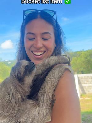 Esta es de las experiencias mas lindas que he tenido 😭❤️🦥 #fypシ #trend #viral #travel #sloth 