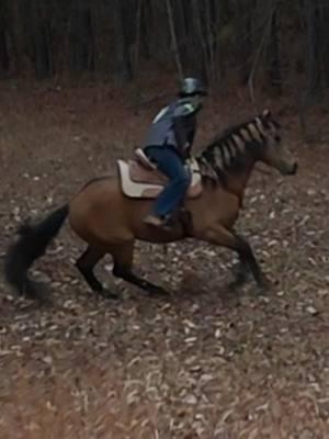 video from a couple of weeks ago that i kept in my drafts, but drift spooked at the sewer drain even though we walked by it multiple times before... i also have nothing to post so #FrenchmanNTx #DriftTheBuckskin #barrelracer #barrelracing #horse #fyp #foryoupage #abcxyz #xyzbca #viral  