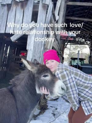 He was just having a bad day, okay… #minidonkey #minidonkeysoftiktok #farmlife #farmstead 