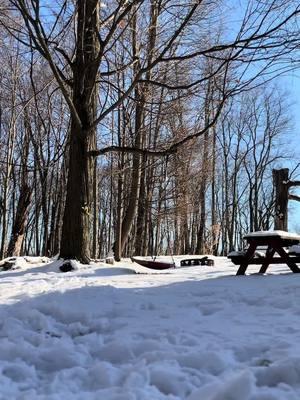 I HAVE A 1/10 CHANCE OF GOING TO URBAN AIR ON FRIDAY😛//JAN 19 WILL BE THE DEATH OF ME😣😖 #quadrobics #quadrobist #quadrobicsjump #tiktokban #winter #forest #nature #jump #notatherian #theriansupporter #fyp #fypp #fypシ #fypシ゚viral #fypage #viral #snow 