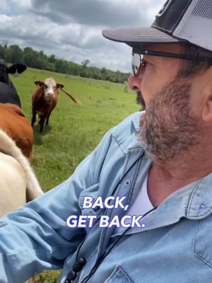 When these cattle see my buggy or truck coming, they'll start running across the pasture and not let anything get in their way until they get their cubes. Imagine what things would look like if we, as Christians, sprinted towards God and didn't let anything of the world get in our way. God will move mightily in your life! We should go out into the world and be an example for not just those who aren't saved, but for other Christians as well. Go out and don't be ashamed, keep running towards God and watch Him move! #rutherfordlandandcattle #pasturepreaching #workingcattle #cattleranch #feedingcows #christianreels #godisgood #devotional #encourgement