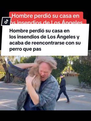 Hombre perdió su casa en  los insendios de Los Ángeles y acaba de reencontrarse con su perro que pasó Cinco noches sobreviviendo entre los escombros #insendios #reencuentro #noticias #news #perros #mascotas 