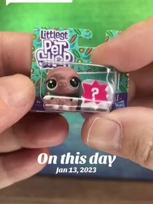 #onthisday #littlestpetshop #lps #trending #fyp #jenniferopenstoys #belikejennifer #minibrands #toyminibrands @Mini Brands 