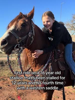 He’s been worked maybe 10 times in the round pen once a week for the past few months. He raced as a three and four year old before getting injured and being stalled for the past twelve years. Such an amazing minded stud with a big personality. #fyp #westernhorses #westernhorsesoftiktok #horsesoftiktok #blowthisup #horses 