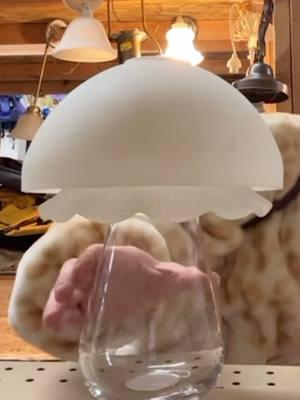 Replying to @ℂ𝕦𝕟𝕥𝕒𝕝𝕚𝕔𝕚𝕠𝕦𝕤ℂ𝕠𝕝𝕖 THATS SUCH A GOOD IDEA! I Never thought of that! This is where my brain went….  #mushrooms #glass #crystal #lightcover #fixture #DIY #cute #endless #possibilities #lost #singing #brainwork #puzzle #legos 