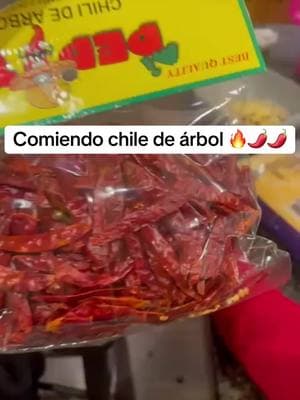 Quieren parte 2?🔥🔥🔥🔥 #chiledearbol #mexicantiktok #mexicanfood #tacos #paratiiiiiiiiiiiiiiiiiiiiiiiiiiiiiii #viralvideo #fypシ゚viral 