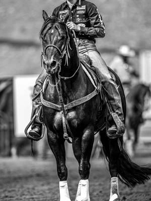 #mambamentality ♠️ @Cheyanneguillory & Time To Glo #TheVERYbest | #soloselecthorses | #ropehorse | #motivationmonday | #motivation | #stallion | #heelhorse | #breakaway | #headhorse | #relentlessremuda 