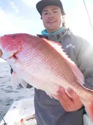 Nothing beats this feeling!  #toadfish #putemback #offshore #fishing #angler 