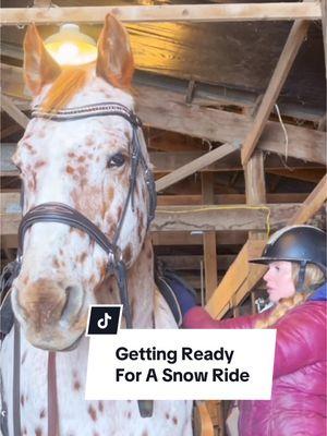 Jiminey is the prettiest Appaloosa around! Can’t wait to hack in the snow with him. #groom #tackup #snowride 