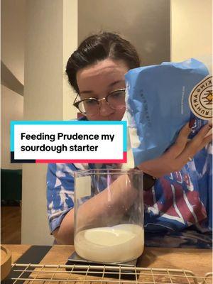 Guys. Prudence is in her sourdough starter redemption era 💁🏻‍♀️ me however?😮‍💨 #sourdoughbread #sourdough #sourdoughtok #sourdoughstarter #sourdoughforbeginners #sourdoughbaking #sourdoughfeeding 