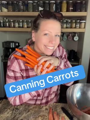 #canningcarrots #canning #rebelcanning #pantryrestock #sogood #soup #sidedish #foryou #homemade 