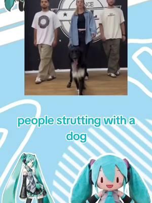 people strutting with a dog || #hatsunemiku #croppedmeme #croppedvideo #croppedmemes #croppedvideos #miku #croppedvid #croppedvids #croppedfunnymeme #funnymeme #projectsekai #projectdiva #vocaloid #hatsunemikuvocaloid #meme #fyp #fypage #stantwitter #xyzabc #cropped #memes #hatsunemikucrops #mikucrops #colorfulstage #pjsekai #hatsunemikucolorfulstage #viral #reactionmemes 