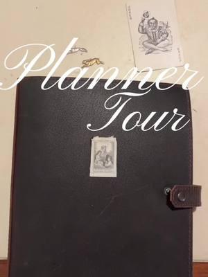 planner tour! #planner #journal #filofax #plannerflipthrough #CapCut 