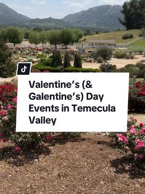 Romance roundup! ✨🧸💌🥂  Temecula Valley’s got Valentine’s Day events from romantic dinners to drive-in movies, DIY classes and more. We’ve even got some celebrations just for the gals! Head to our events page for more information and start planning now.  VisitTemeculaValley.com #visittemecula #liveglassfull #seasonofromance #monthofromance #dateideas #temeculawinecountry #winecountryevents #valentines #galentinesday #temecula @VisitCalifornia @Europa Village @Wilson_Creek_Winery @PonteWinery @Lorimar Vineyards & Winery @Grazing Theory LLC @ThorntonWinery 