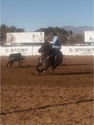 Let’s not talk about the steers after this….  #winnerswin  #fyp#fup#horse#horses#rodeo#rode#ride#win#winner#geeler#girlheel#girlheeler#teamroping#teamroper#wow#header#woah#heelshot  