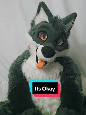 #furry #goodvibes #furryfandom #furrytiktok #smile #furry4life #itsgoingtobeokay 