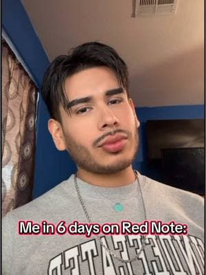 Gonna get fluent in a new language when tiktok gets banned in 6 days. Red Note Here I Come😂😭 #fyp #rednote #meangirls #vietnamese #chinese #china #gretchen #humor #funny #banned #bannedtiktok #ban #creatorsearchinsights 