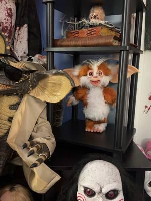 Which one is your favorite Mogwai? #trickortreatstudios #gremlins2 #mogwai #horrorroom #horror #angeloispetty   