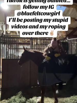 I only TikTok for fun! Nobody really cares, but go follow my IG! 🤣 #fyp #foryou #catiewilson #ranchlifestyle #cowgirlmom #womeninag #cowboywife #teamroper 