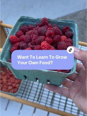 Want to learn to grow your own food, but not sure how to get started? Welcome! I’m Jessica. I’m a Master Gardener in Zone 7b who teaches beginner gardeners online and in my community. I’d love to help you get growing 💚.  #gardening #gardentips #beginnergardener #homegardening #gardening101 #growyourownfood #mastergardener #gardenlife #backyardgarden #zone7 #homestead 