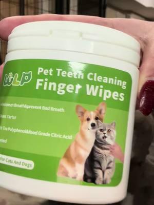 These are so convenient and easy to use! #wlp #petteethcleaning #fingerwipes #petstuff #review #linkbelow #dogs  #dogpeople  #beretta #bigdogsoftiktok #viral #trending #fyp 