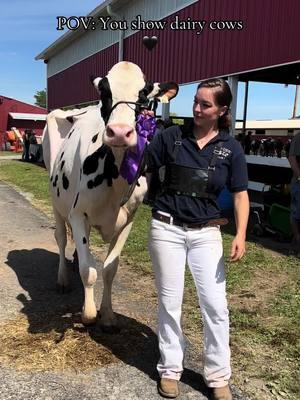 Throwback to summer ‘23 and our beautiful Jordy CUPID. Stunning, gorgeous, and SPICY #showcow #holstein #dairycows #showtime #farmtok 