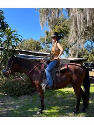 This time of year is perfect for a little trail ride! Love it when the horses have a little pep in their step 🤠 #floridacheckchallenge #cowgirlsandoutlaws🤘🏻♠️ #arabianquarterhorse #trailridingwithfriends #sundayfundayvibes #poseforthecamera #wranglerjeans #stetsonhat #luccheseboots 