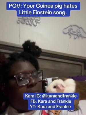 #fyp #foryou #guineapigsoftiktok #sweetanimals #funnyanimals #smallpetsoftiktok #exoticpets #drdolittle #karaandfrankie 