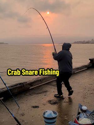 Snared another Dungeness Crab on the Crabslayer snared filled with chicken. The Dungeness Crab was released back into the waters. . 📍San Francisco, CA . 🎥 Samsung S24 Ultra  . @Samsung @SamsungUS  . #outsidewithallen #dungenesscrab #crab #crabsnaring #crabsnare #crabfishing #crabbing #crabber #pierfishing #bayareafishing #sanfrancisco #sanfranciscobay #california #sanfranciscobayarea #sfbayarea #fishing #fisherman #fishingtrip #fishingtime #fishingvideo #fishingvideos #fishingreel #fishingcontent #withgalaxy #madewithcc