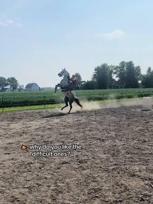 💙💙#BBR #horsesforlife🐴❤️ #fypシ゚viral #polebending #theshowarena #rodeo #barrelracer 