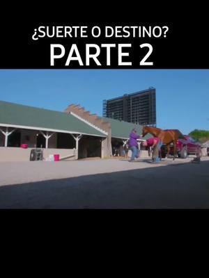 Las posibilidades eran muy pocas.  mistyk Dan se corona campeón del Kentucky Derby.  #Derby #parte2 #caballos #movies #carreras #Kentuckyderby #viral 