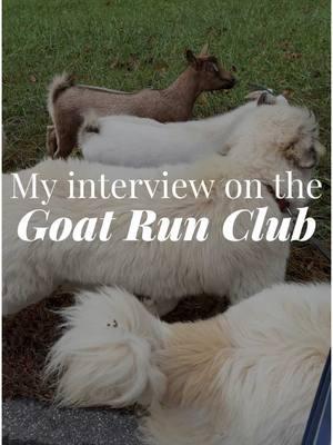 I was interviewed today about the Goat Run Club and absolutely loved telling my story! I’ll be sharing the interview with you guys when it comes out but in the meanwhile, would love to do a Q & A session with you guys. Anyone have any questions about GRC or anything I post about that you’d like me to discuss? Also, what’s your favorite video style to consume: short form, long form (on YT), or lives (which I’d be open to trying)? #goatrunclub #raisinggoats #rescuedogs #lgds #greatpyrenees  