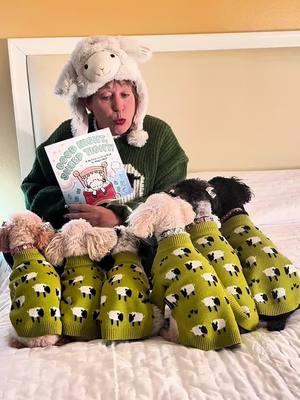 Mama is reading a book 📕 called “Good Night, Sheep 🐑 Tight” 🐑 We are wearing adorable sheep 🐑 sweaters from @Fitwarm Official 💚 We love them very much! 🐑  #book #bedtimestory #read #bedtimestories #sunsationalsix #readmeastory #storytime #storyhour #childrensbook #kidsbooks #bookclub #poodle #toypoodle #readingtime #readingisfun #dogsofinstagram #poodlesofinstagram #matching #twinning #twinningiswinning #sheep #goodnight #sleeptight #countingsheep 