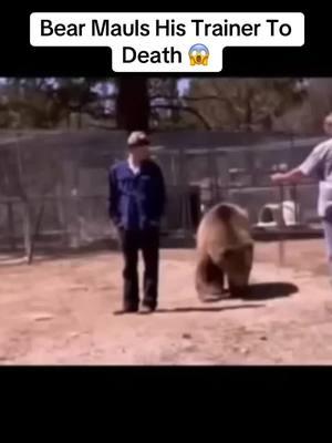 Bear Mauls His Trainer To Death 😱 #bear #scary #fyp #horror #greenscreen 