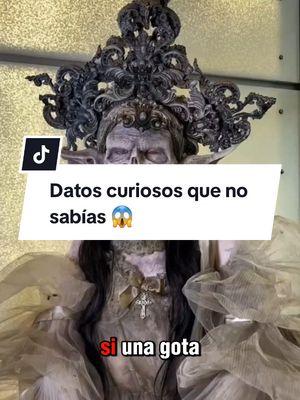 Datos curiosos que no sabías 😱  #datoscuriosos #curiosidades #SabiasQue #conocimiento #satysfying #foryou #usa_tiktok #usa🇺🇸 