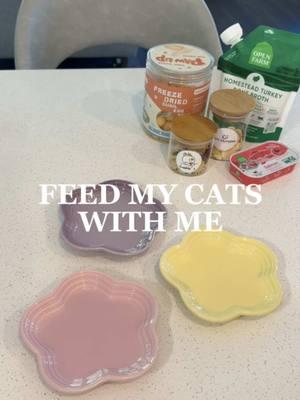 Feed my cats with me 🤍  On the Menu 🍽️ ⟡ @smallsforcats Smooth Pork ⟡ @Open Farm Pet Salmon Mousse Topper ⟡ @PAWUP Quail Egg Yolks ⟡ Cookie’s Flower Treats ⟡ @Petit Pawtisserie Egg Treats ⟡ Open Farm Turkey Bone Broth Discounts 💌 🔖 Smalls Free Sample Box in bio 🔗 ($10 Shipping) 🔖 “SIMPLEKITTIES15” | 15% off Open Farm 🔖 “SIMPLE15” | 15% off Cookie’s Treat 🏷️✨ #catparent #catcare #catfood #petfeeding #cattreat #cattreats #pettreats #whatmycateats #whatifeedmycats #feedmycat #feedmycatswithme #feedingmycats #cateating #catfeeding #feedingcats #catfeedingroutine #catfoodprep #catfoodrecs #catfoodideas #petfood 