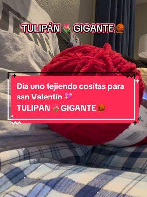 Día uno tejiendo cositas lindas a crochet para san Valentín 💘  #sanvalentin #2025 #crochet #crochetersoftiktok #tejeracrochet #tejer #aigueme #paratii #fouryou #fyp #hobbs #newmexico #bootcampuntalfredo #mesdelamor #tulipanes #hechoamano 