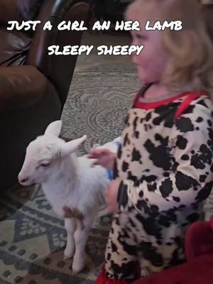 #CapCut just a girl an her lamb.. #oklahoma #countrygirl #ticktok #farmlife #lamb #sheep #hello2025 #funnyvideo #funnysheep#minicowgirl #cherryseieiofarm 