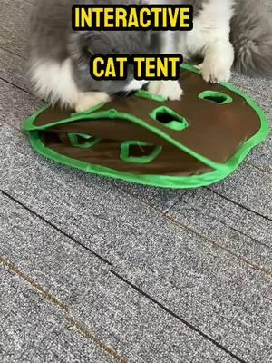 Your Cat's New Favorite Interactive Tent Toy!#CatToys#InteractiveCatToy#CatPlaytime#CatLovers#KittyFun#CatPlayhouse#FunWithCats#CatsOfTikTok